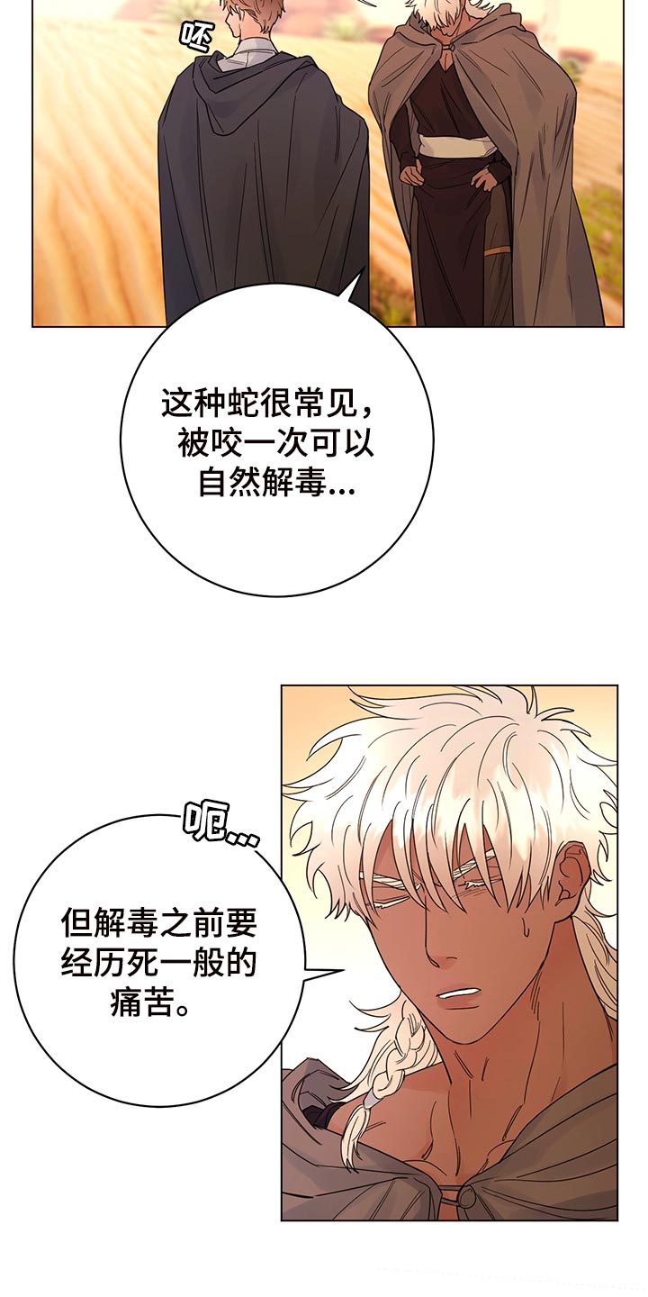 第111章：【番外】毒蛇24