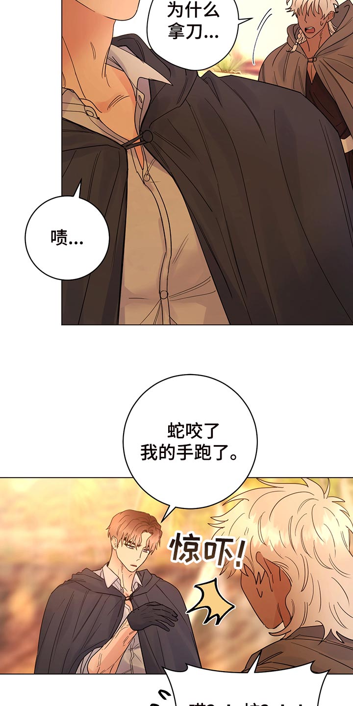第111章：【番外】毒蛇20