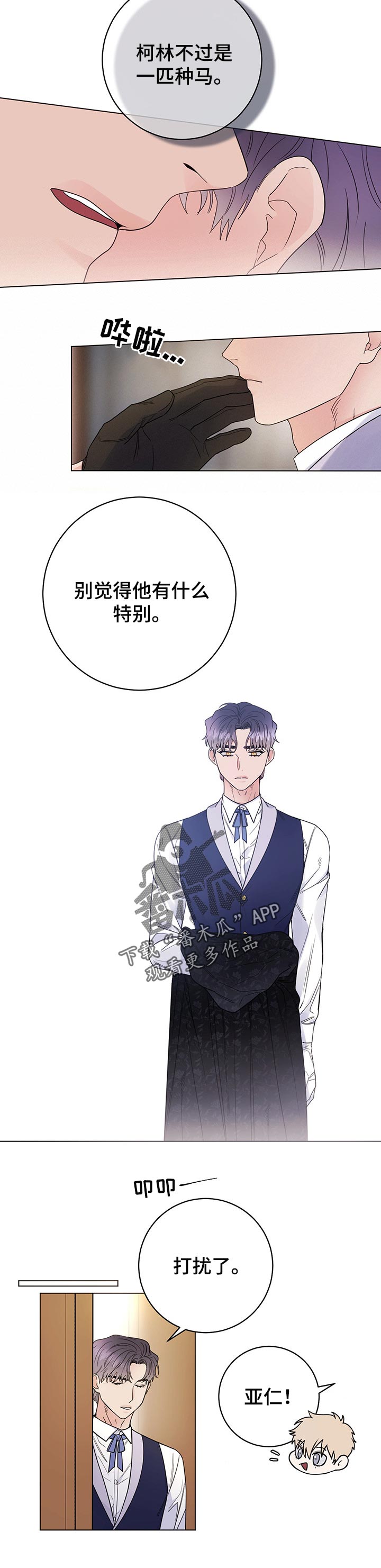 第52章：特别3
