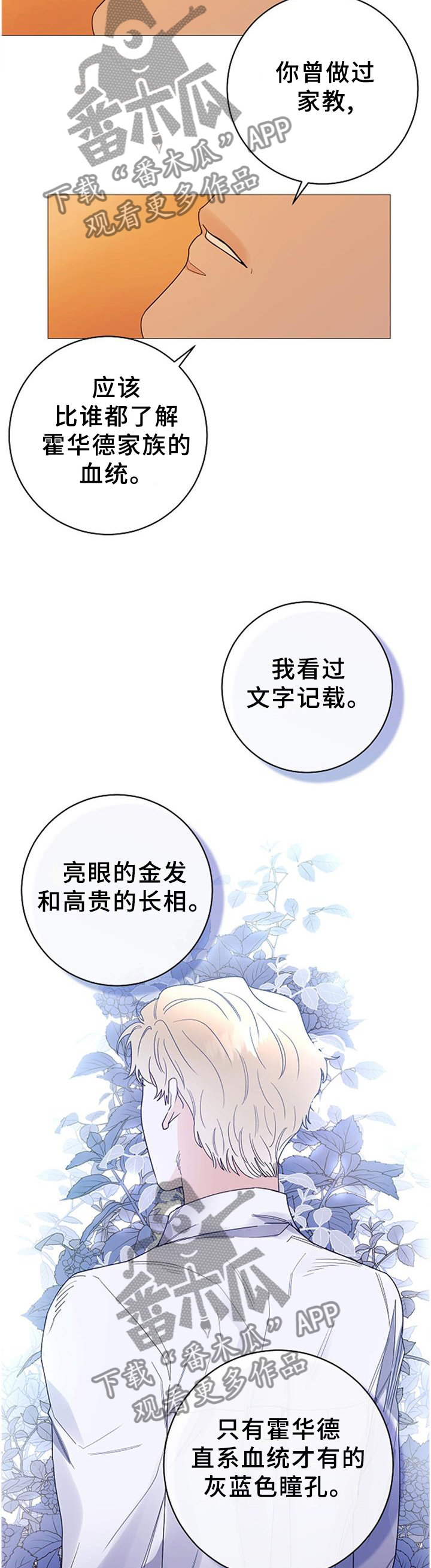 第40章：血统的故事7