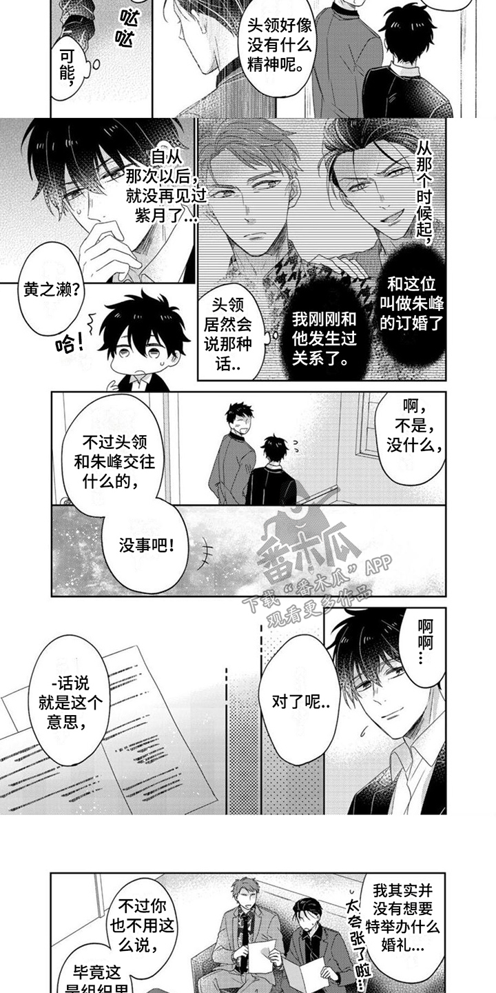 第19章：欺骗2
