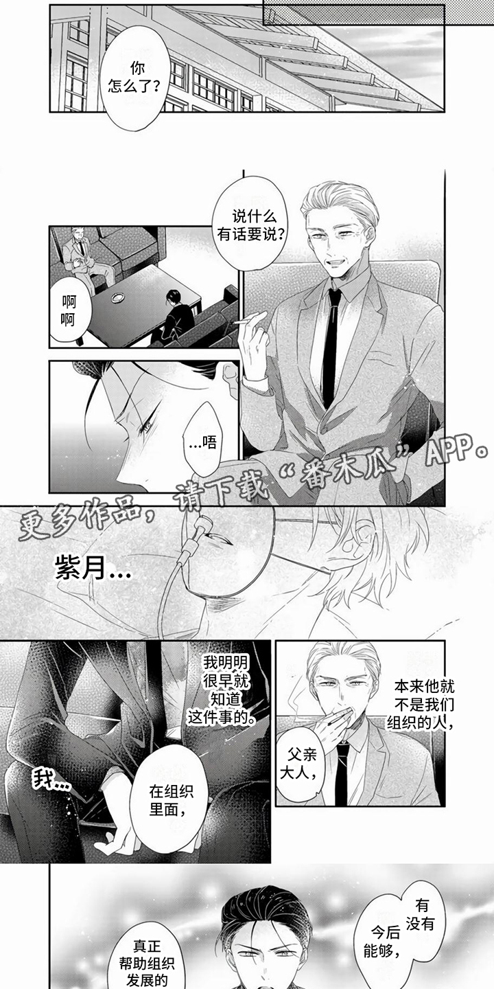第13章：下定决心3