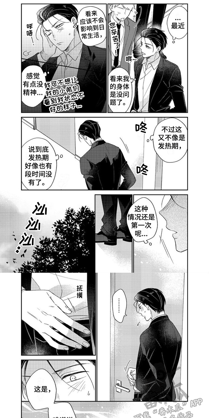第27章：标记6