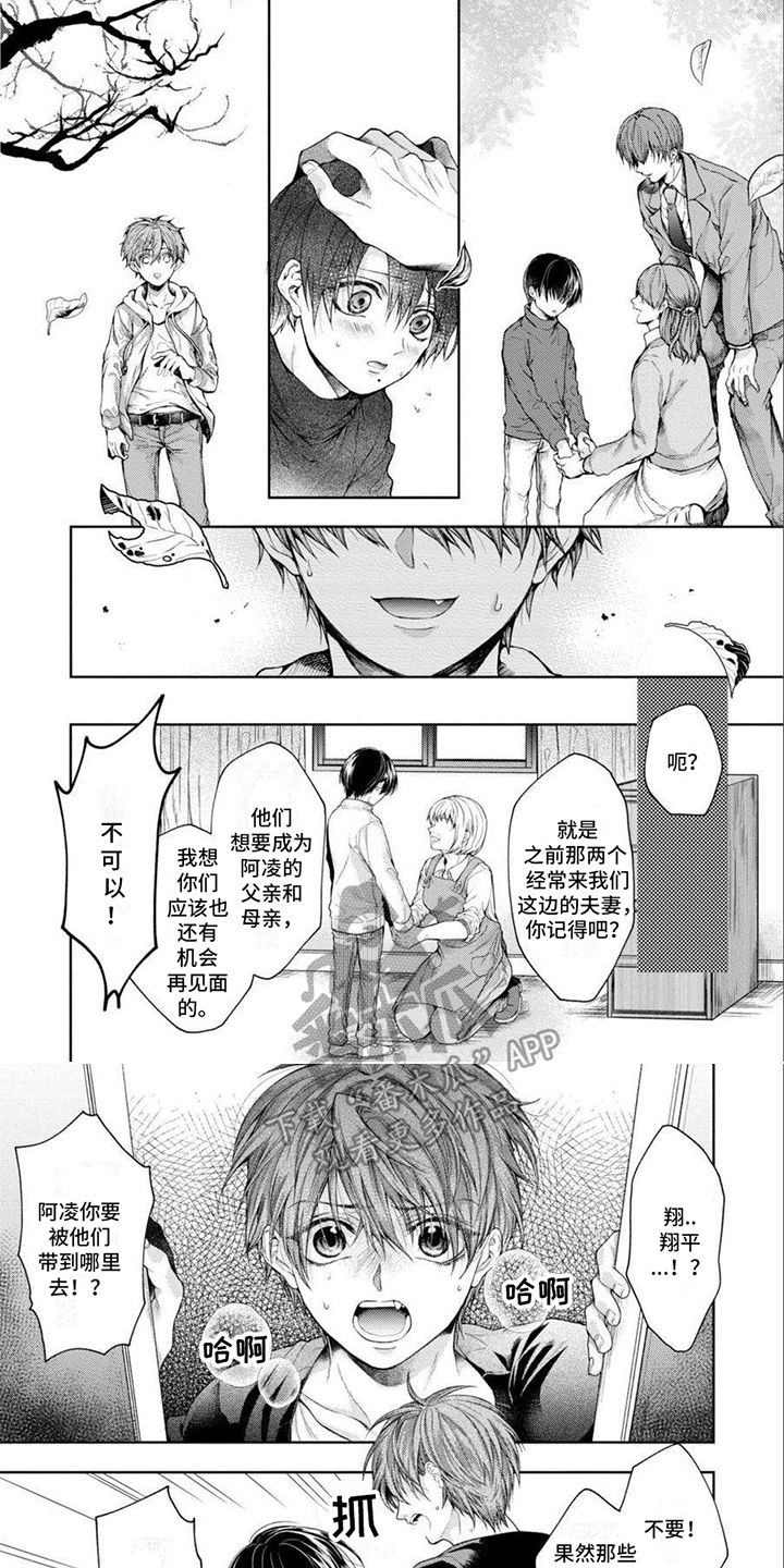 第16章：约定5