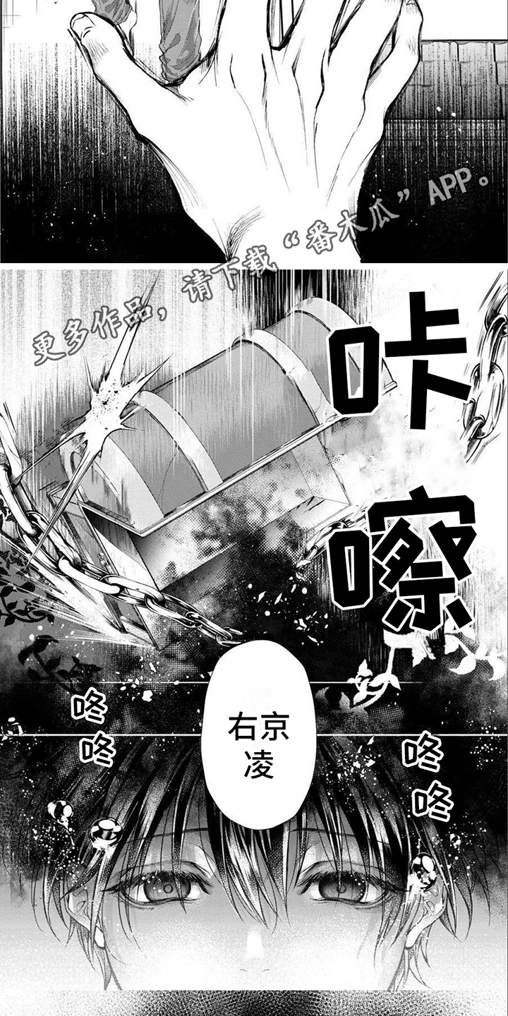 第15章：打开魔盒4