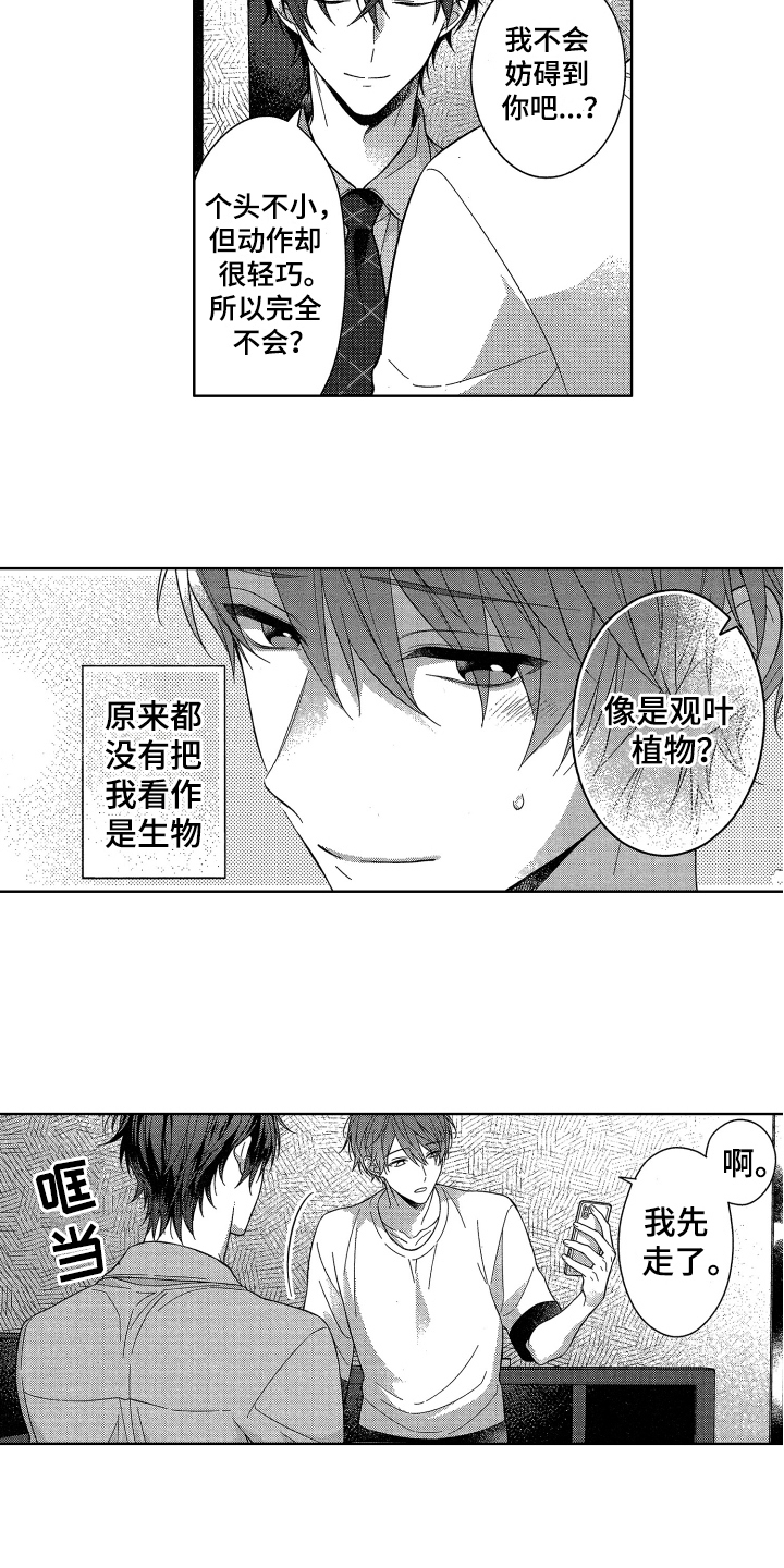 第2章：耀眼3