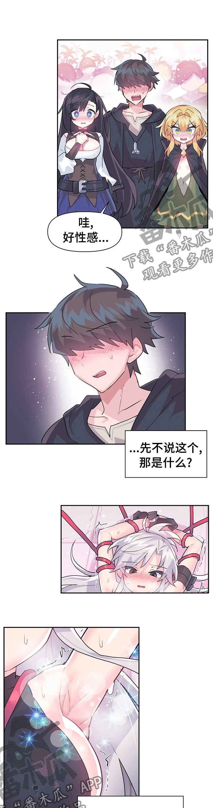 第41章：格斗大赛开始6