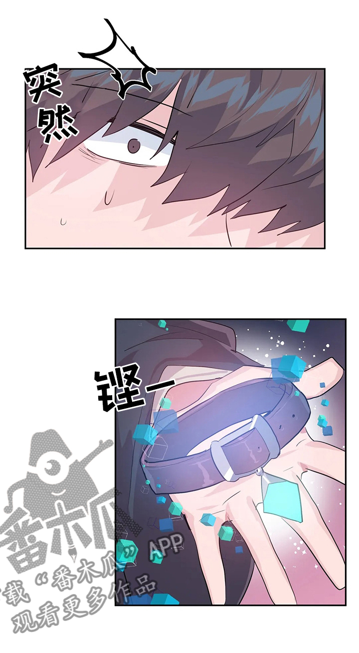 第60章：项链6