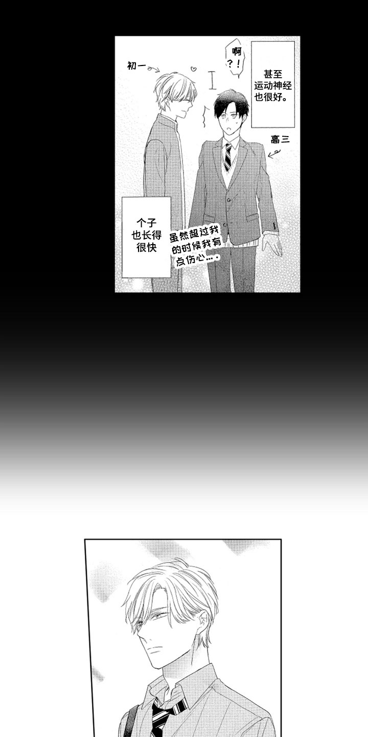 第3章：帅气弟弟2