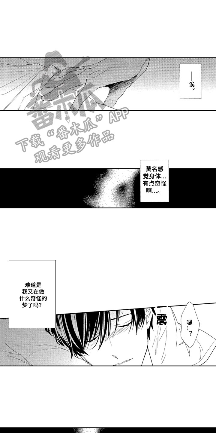 第9章：不是梦6