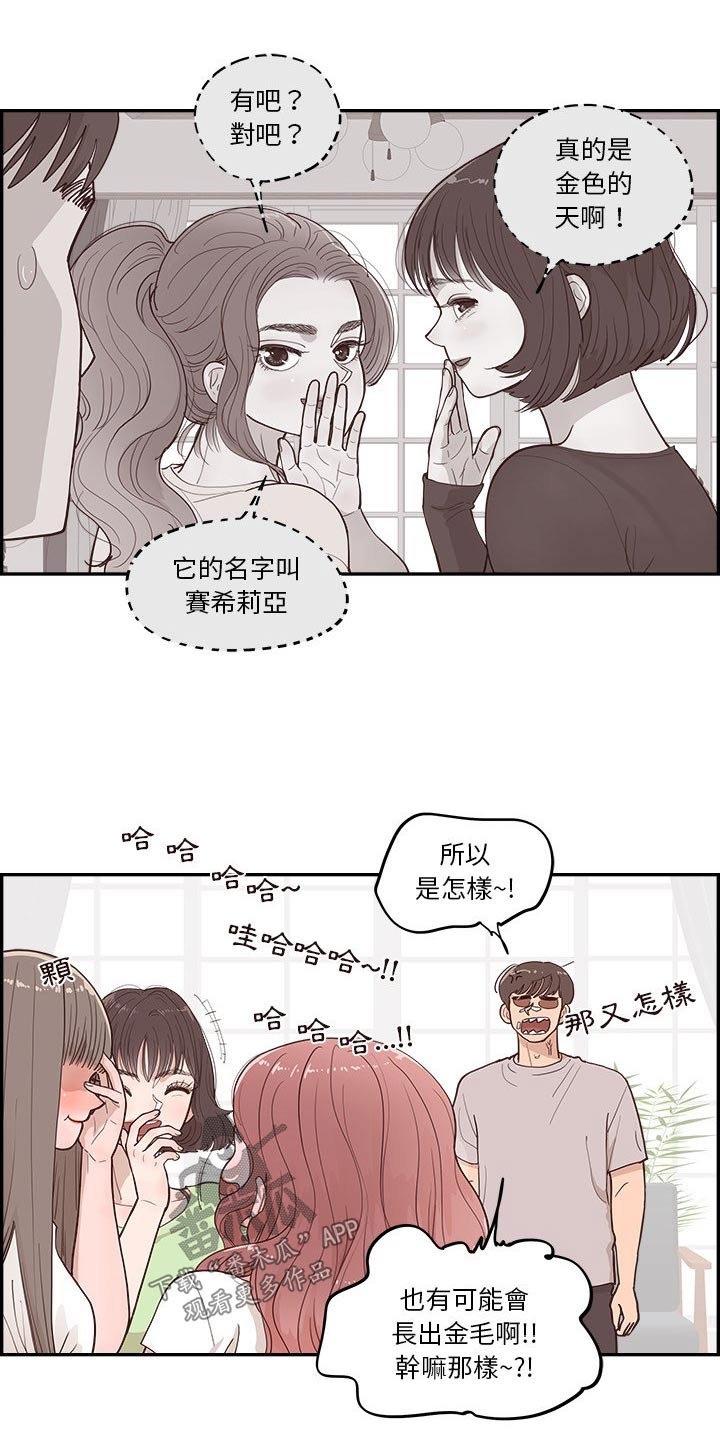 第45章：金色的7