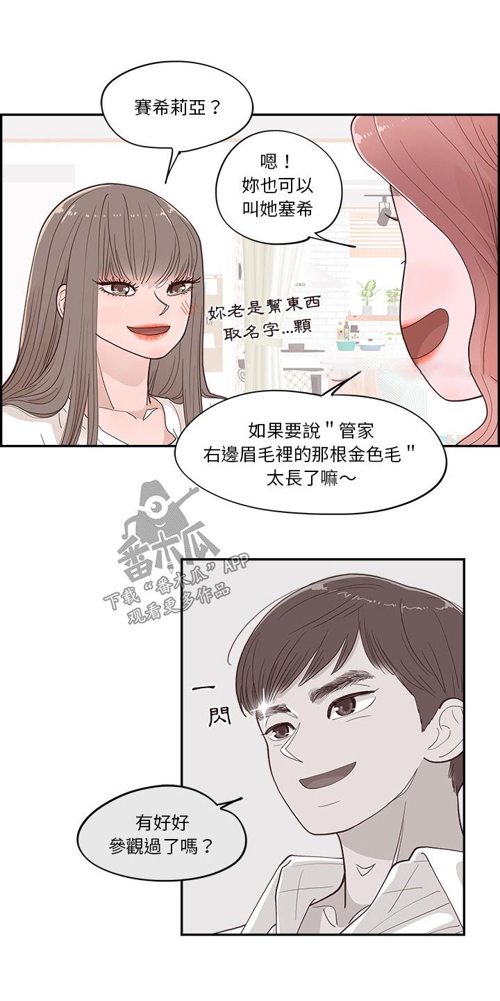 第45章：金色的6