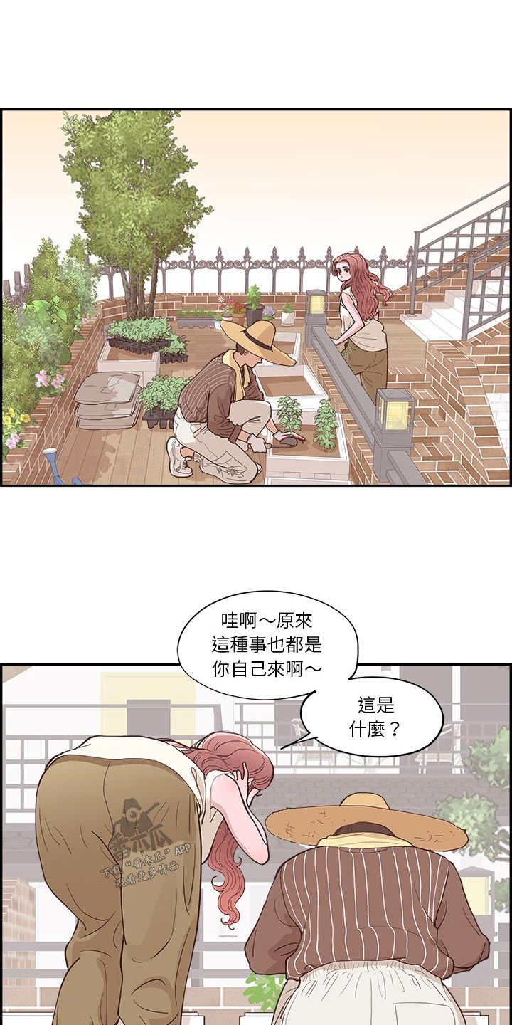 第21章：种植2