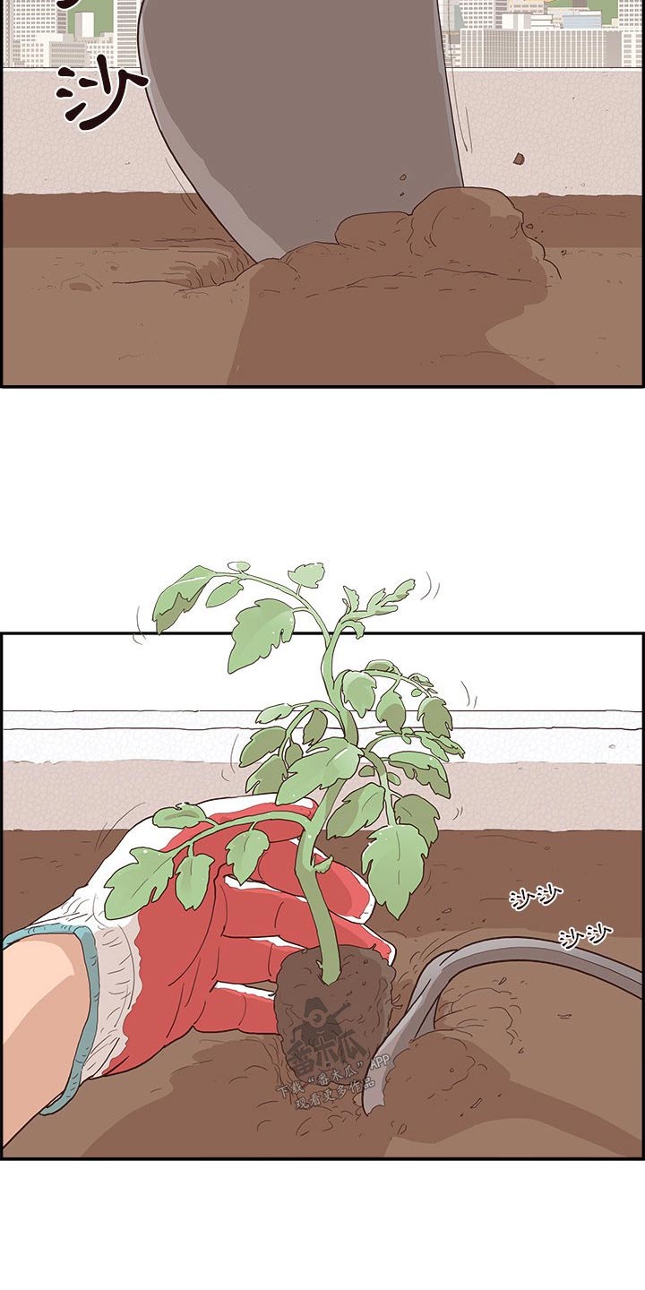 第21章：种植1