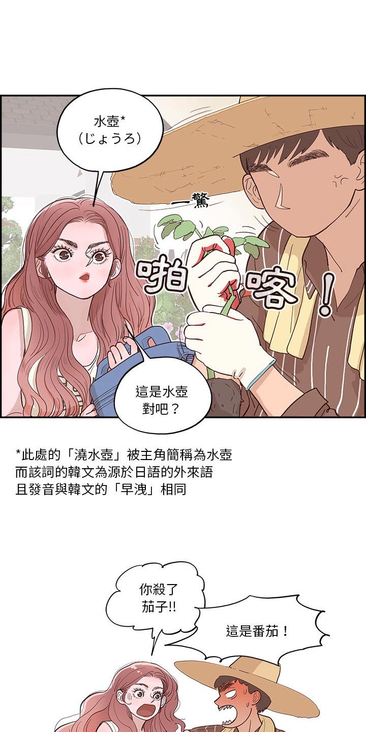 第21章：种植11