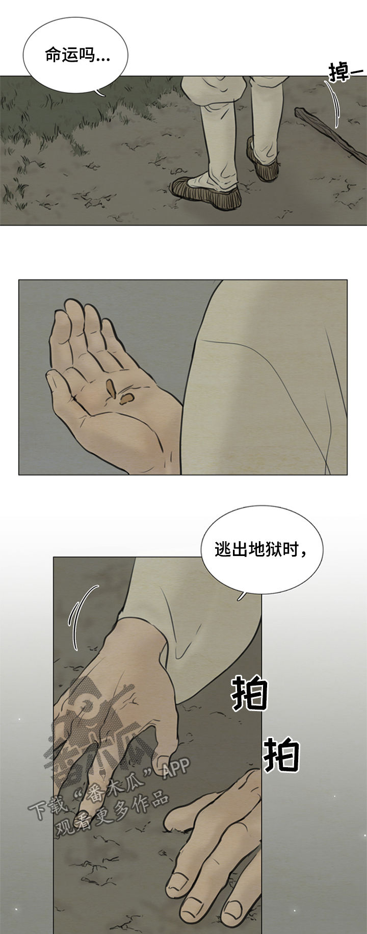 第104章：【后记】命运9
