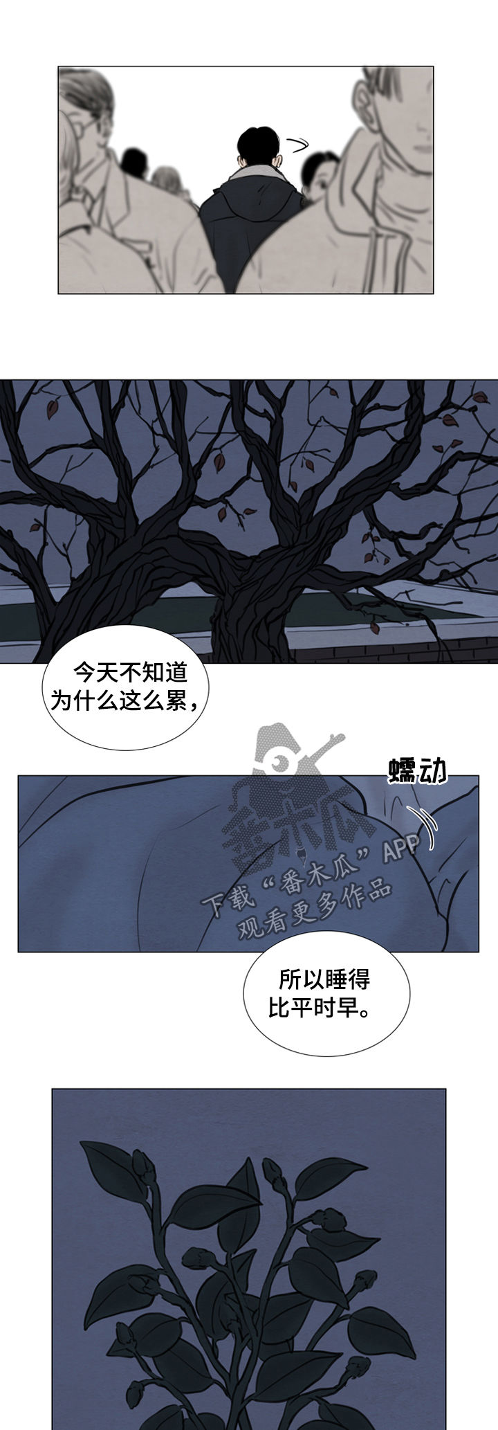 第108章：【第二季】花朵绽放2