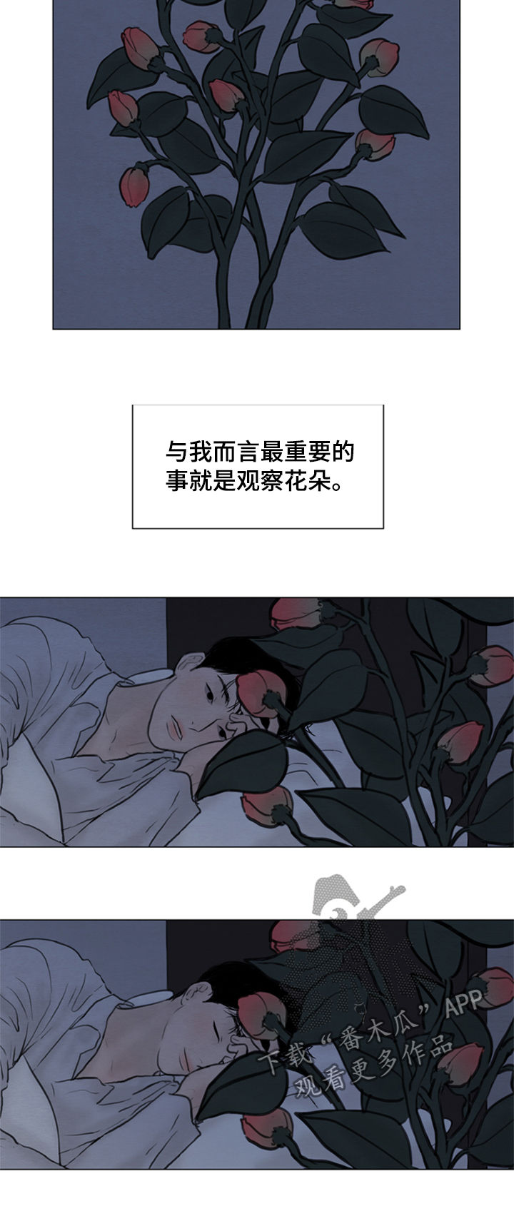 第108章：【第二季】花朵绽放8