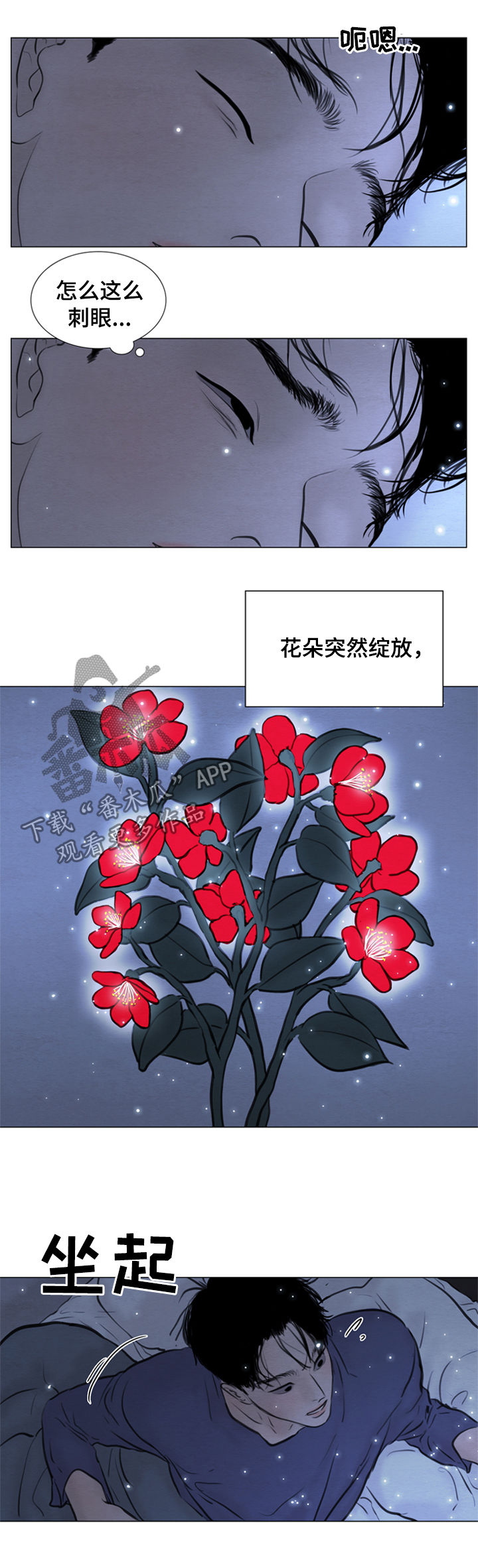 第108章：【第二季】花朵绽放10