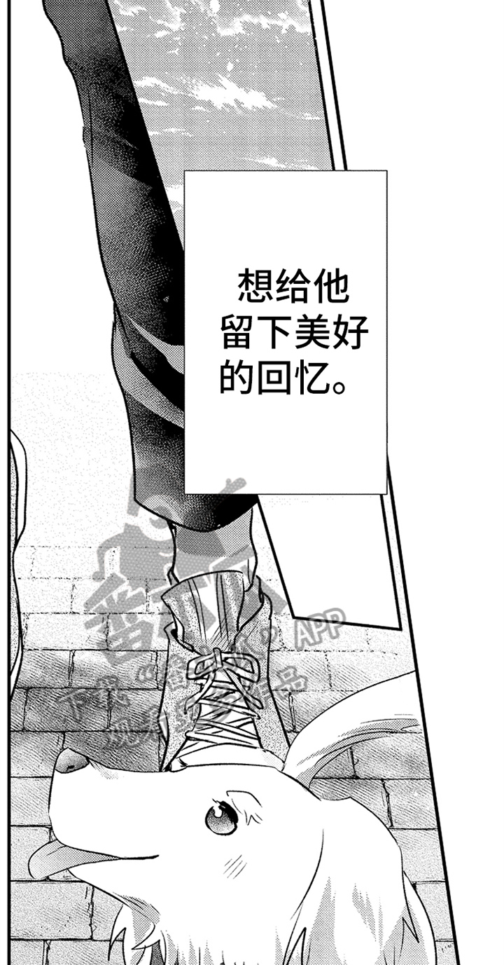 第26章：明白了11