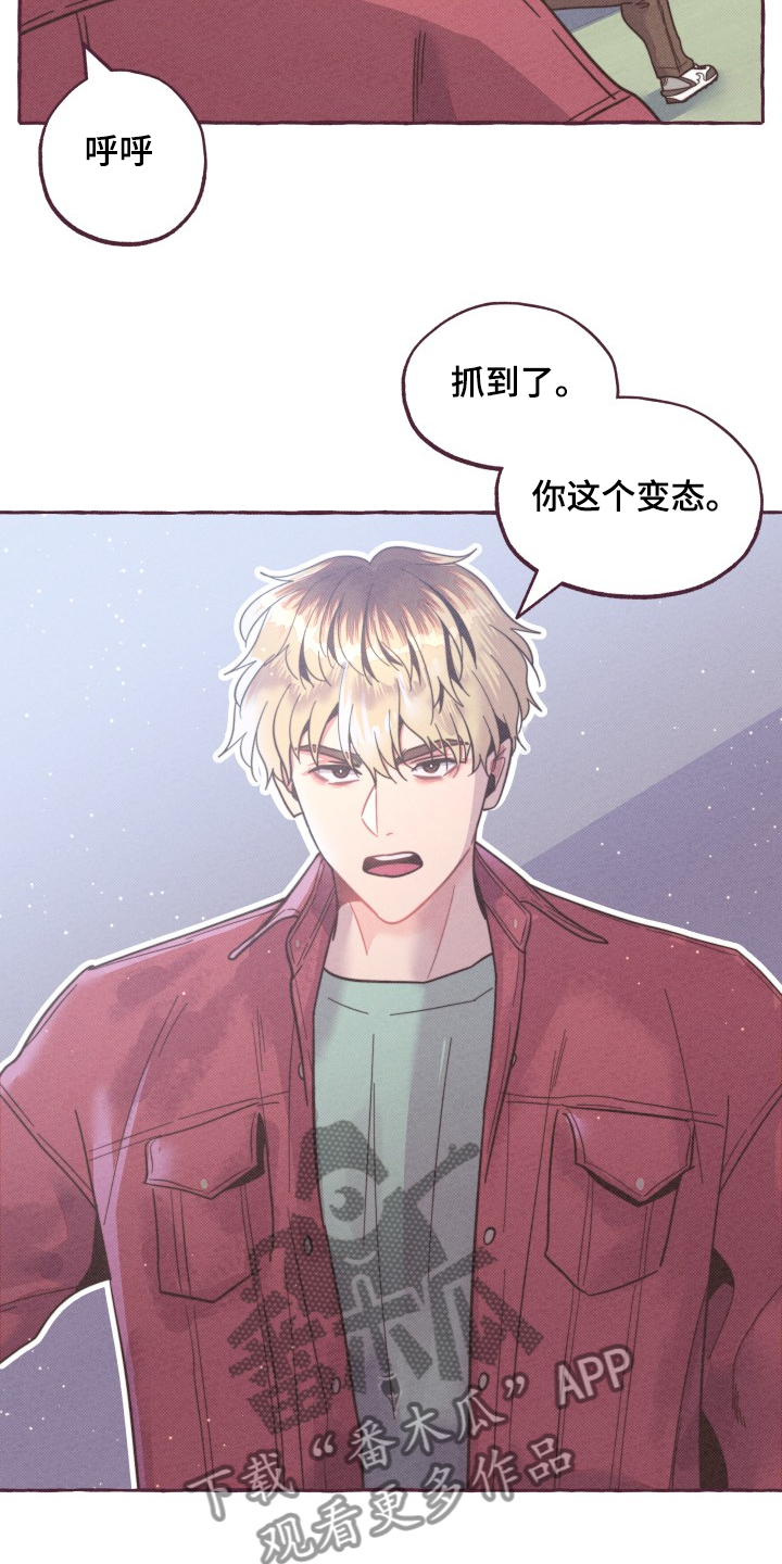 第29章：追逐15
