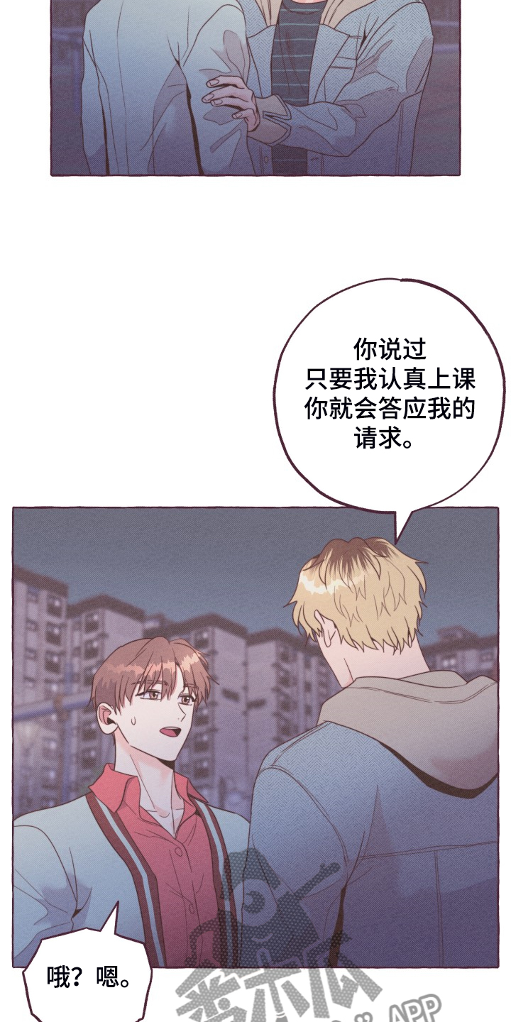 第52章：我们交往吧14