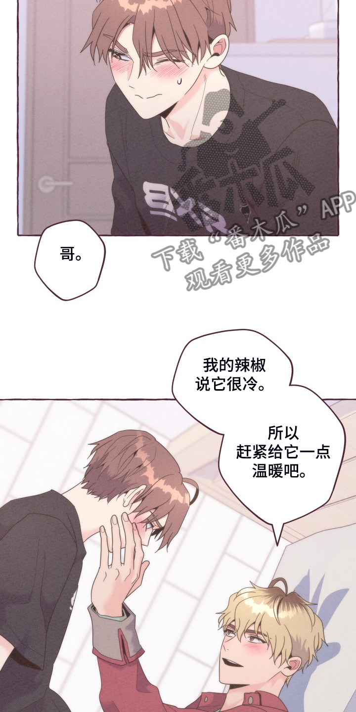 第40章：没有过的11