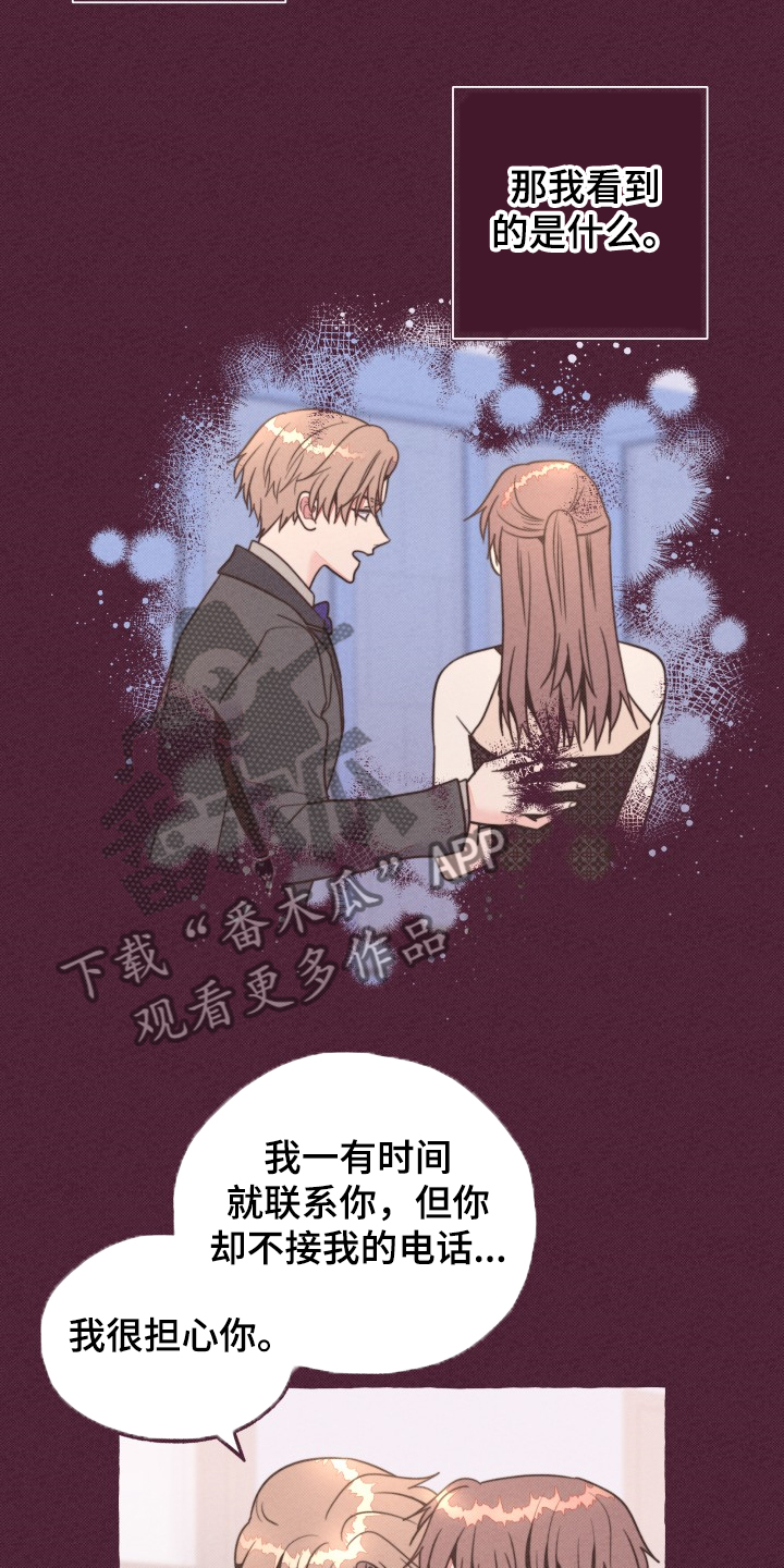 第33章：前尘往事19