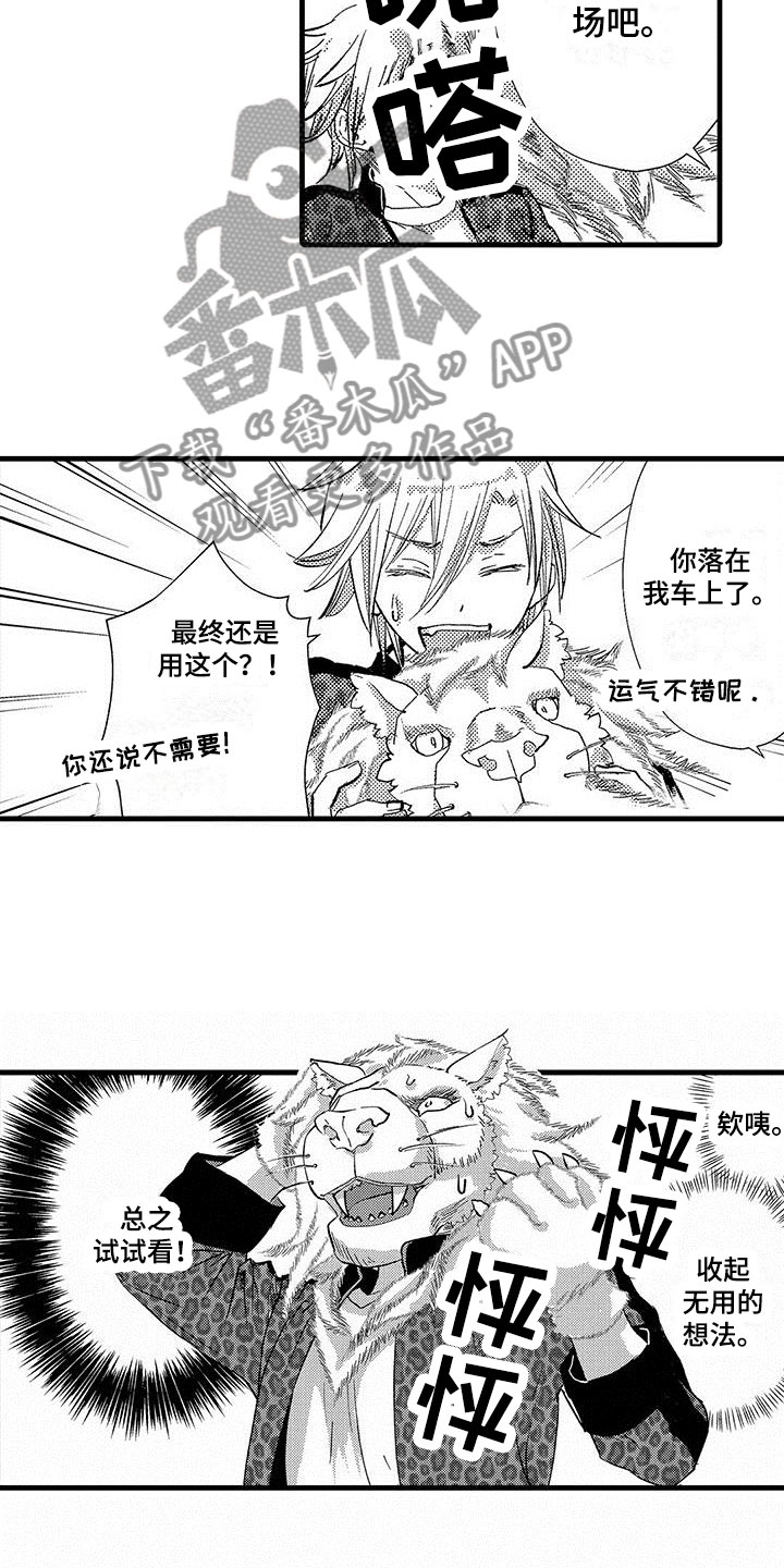 第17章：露脸直播12