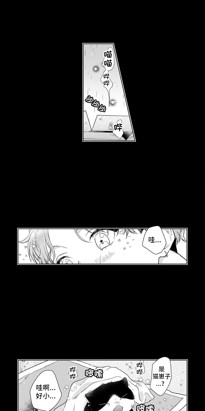 第45章：并不简单5
