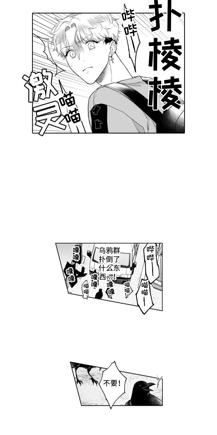 第47章： 猫崽子  12