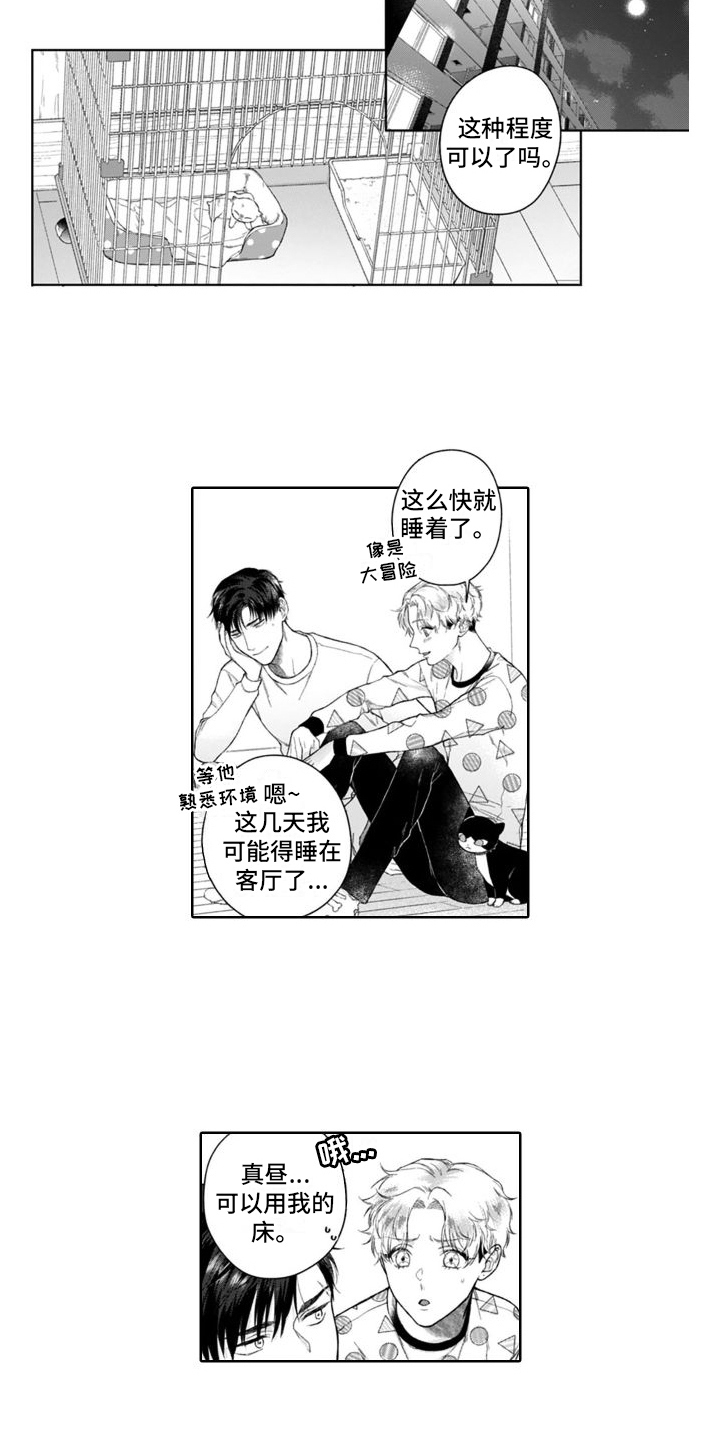 第49章：很像11