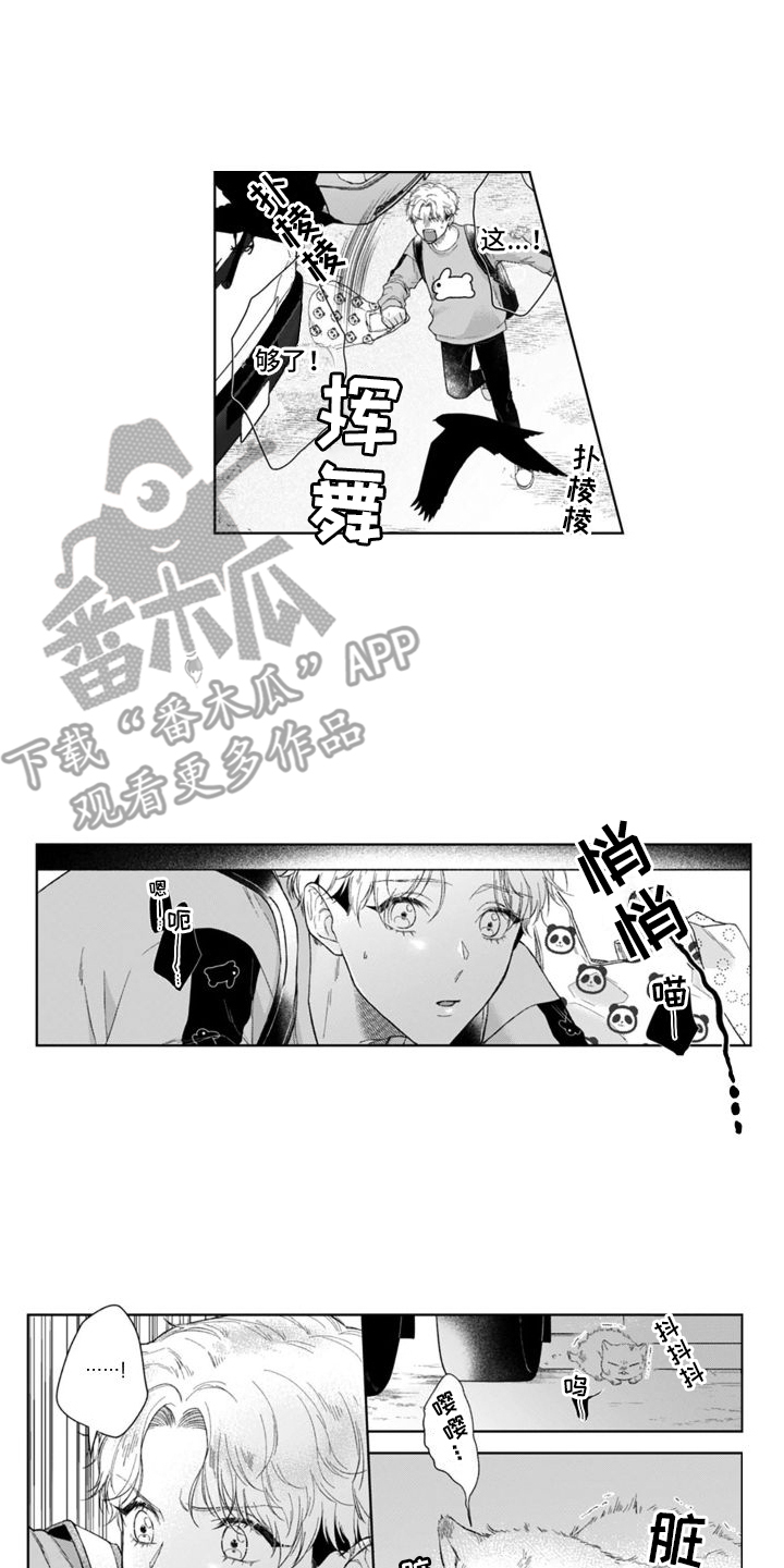 第47章： 猫崽子  13