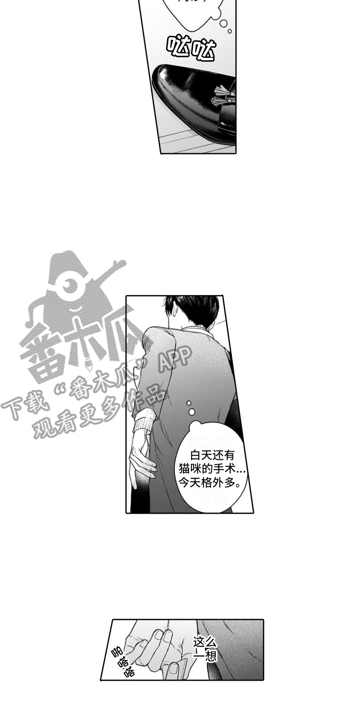 第50章：麻烦的猫咪（完结）  13