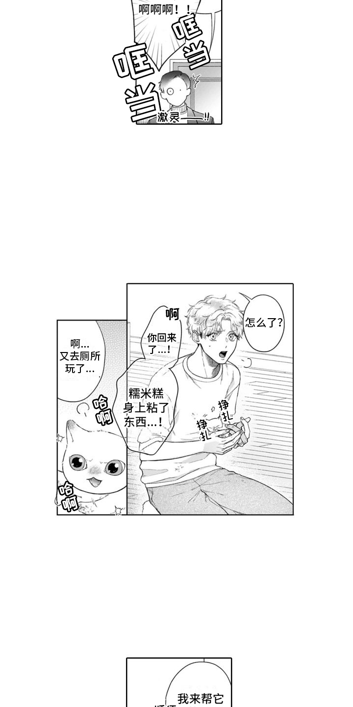 第50章：麻烦的猫咪（完结）  15