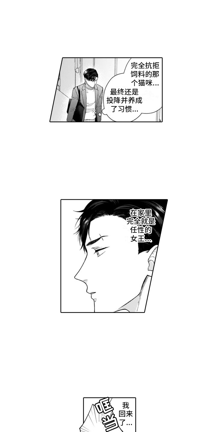第50章：麻烦的猫咪（完结）  14