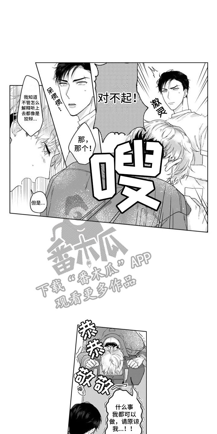 第4章：道歉11