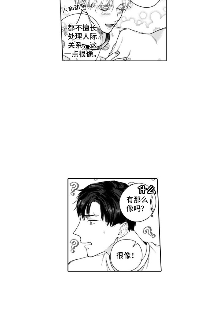 第49章：很像14