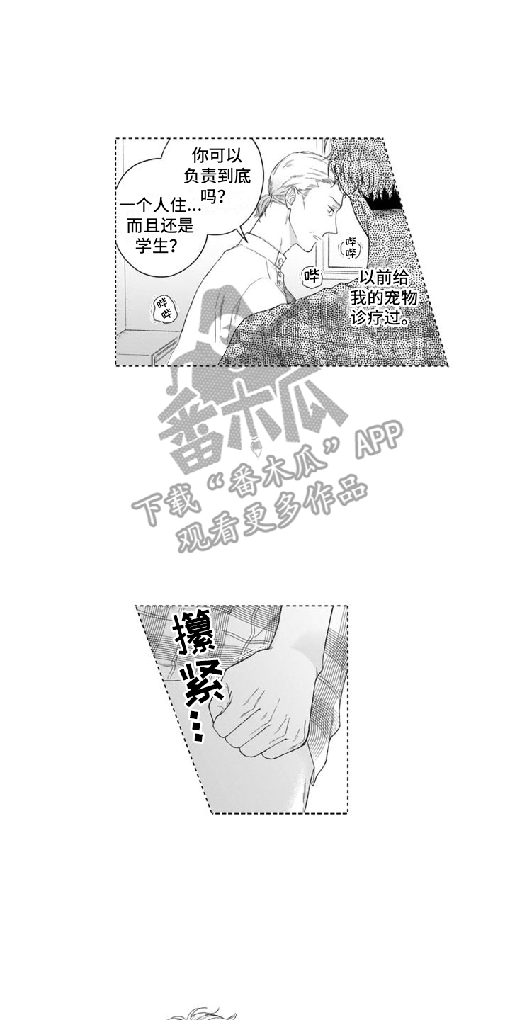 第43章：坦白5