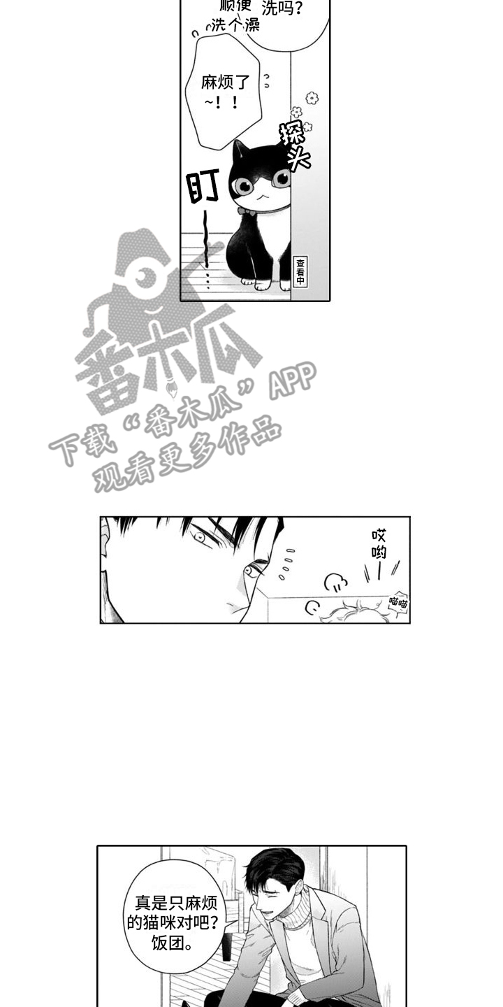 第50章：麻烦的猫咪（完结）  16