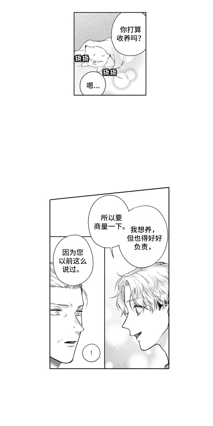 第49章：很像5