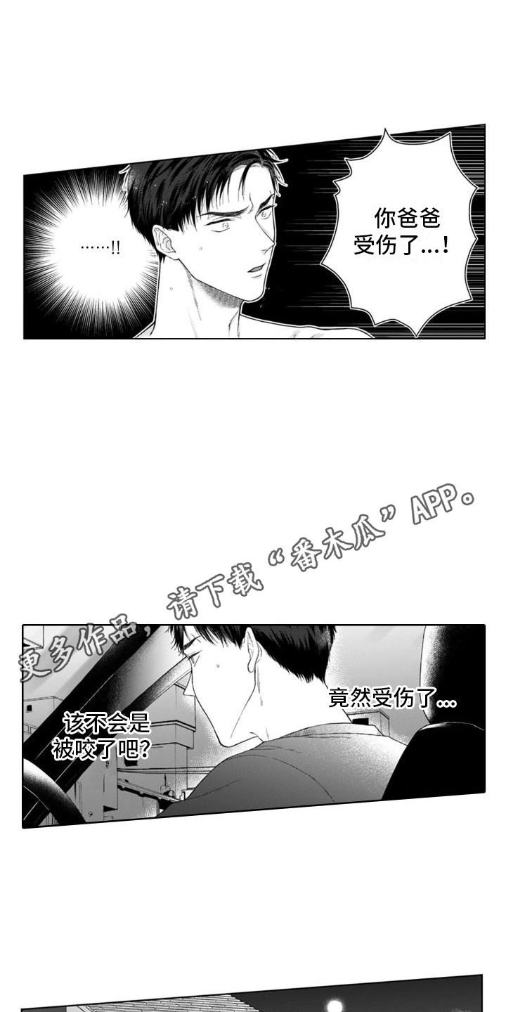 第40章：出事了  7