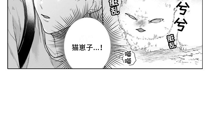 第47章： 猫崽子  14
