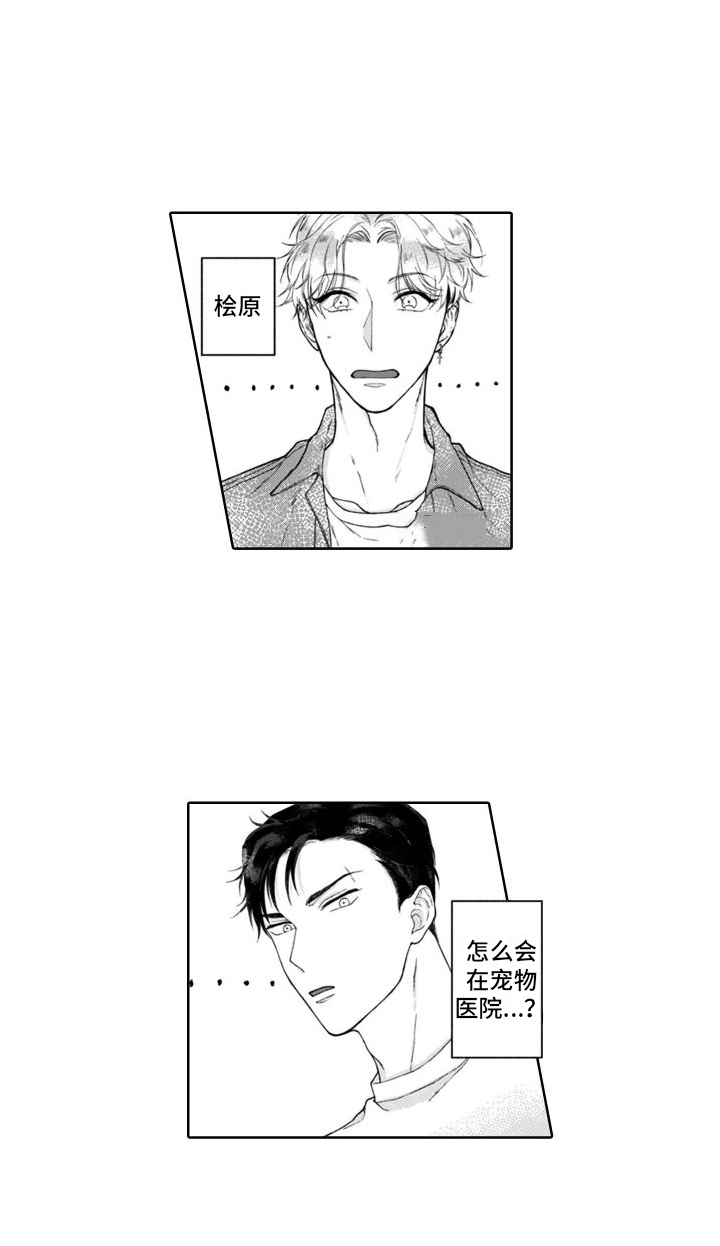 第3章：不是梦12