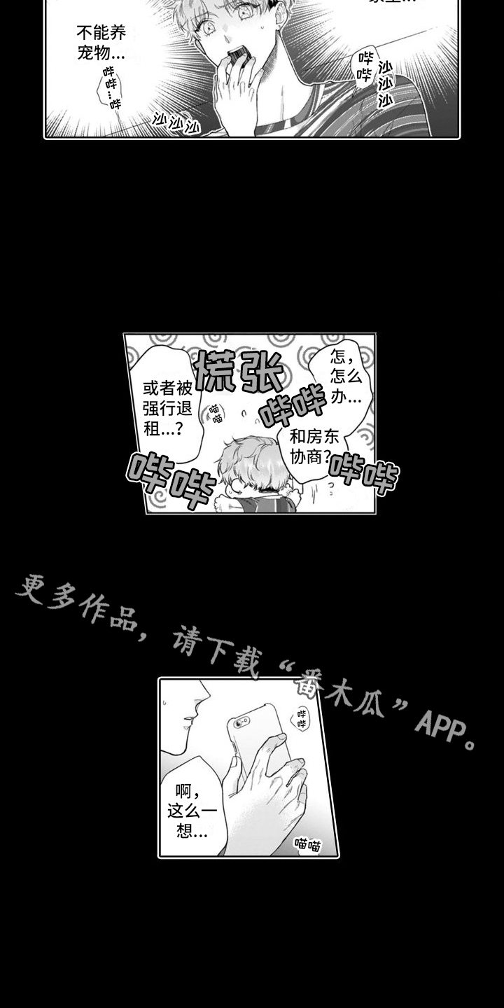 第46章：付出努力5