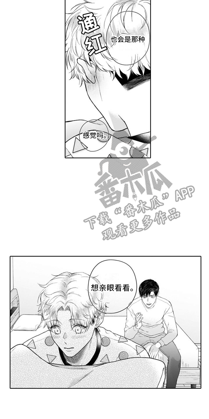 第50章：麻烦的猫咪（完结）  1