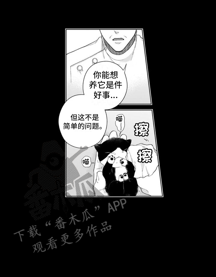 第45章：并不简单13