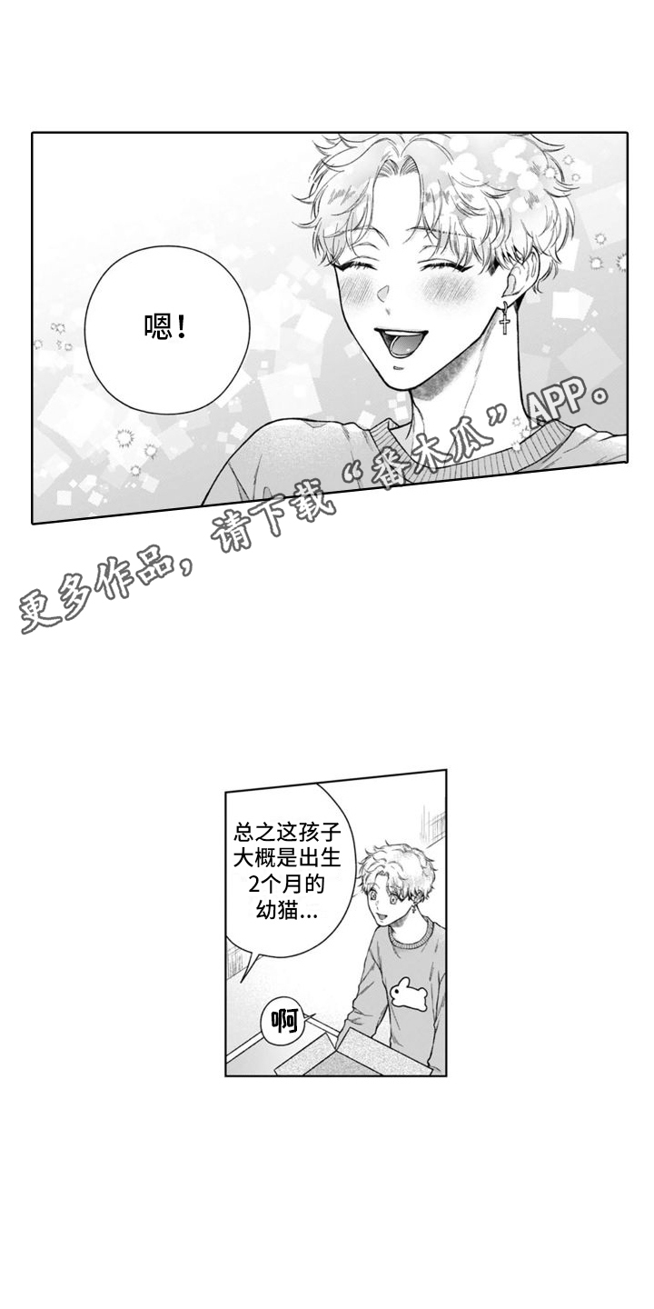 第49章：很像4
