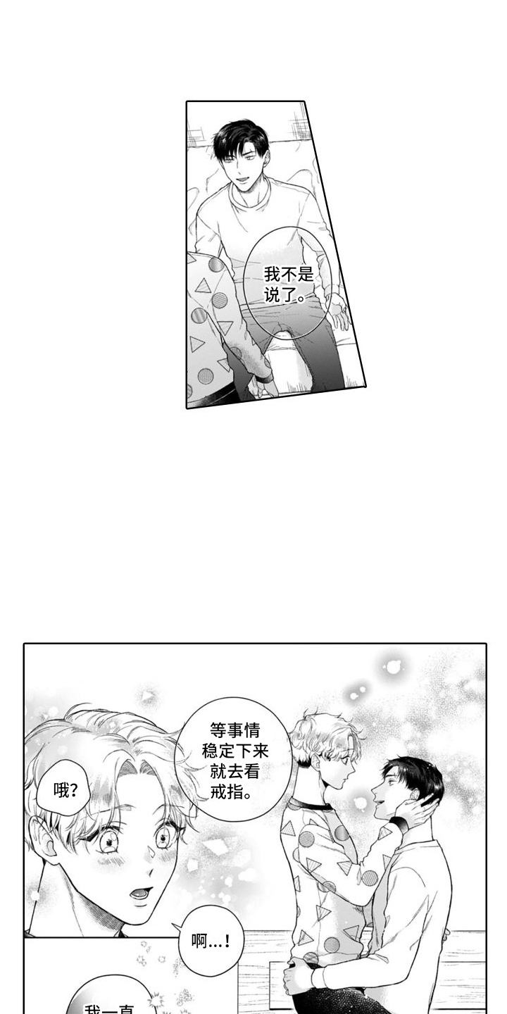 第50章：麻烦的猫咪（完结）  3