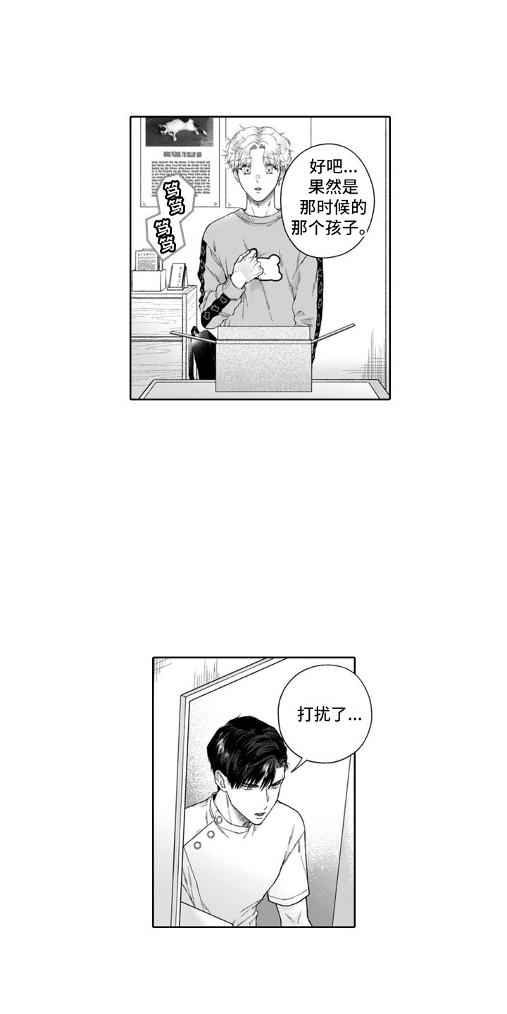 第49章：很像6